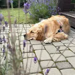 Machatka Wakacyjny Dom Z Klimatem I Prywatnym Pomostem *