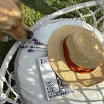 Machatka Wakacyjny Dom Z Klimatem I Prywatnym Pomostem Dom wakacyjny Winiec