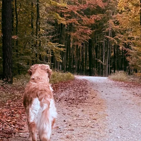 Machatka Wakacyjny Dom Z Klimatem Nyaraló Winiec