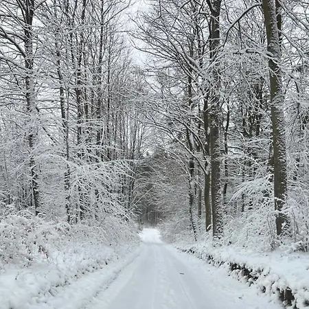 Machatka Wakacyjny Dom Z Klimatem *